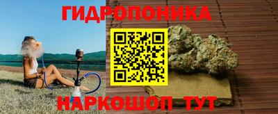 прущие крисы Абакан
