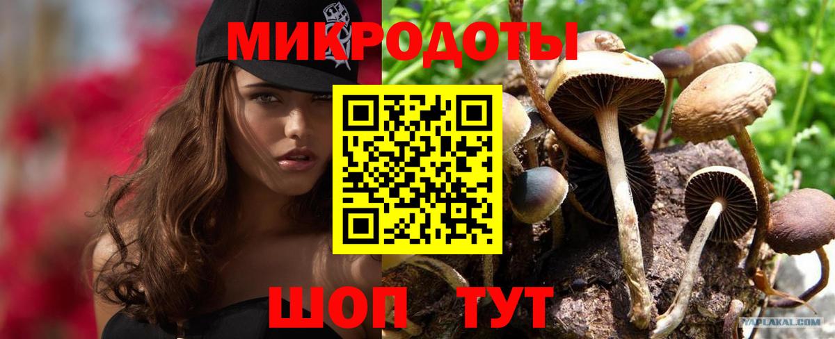 Алексеевка  Псилоцибиновые грибы ЛСД  Вход с VPN 