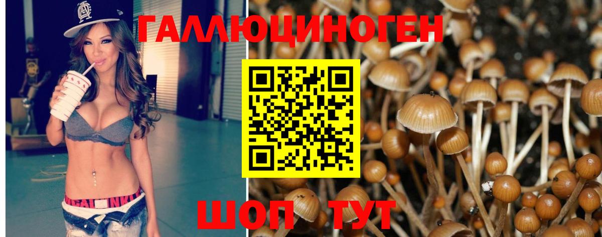 Псилоцибиновые грибы Magic Shrooms Алексеевка